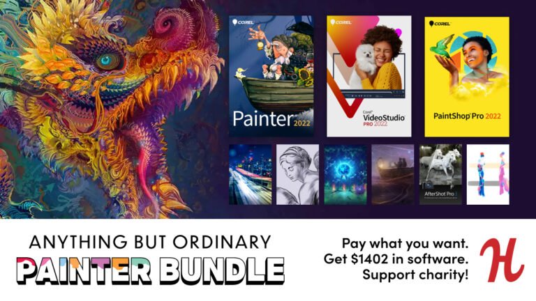 Anything but Ordinary Painter Bundle Encore